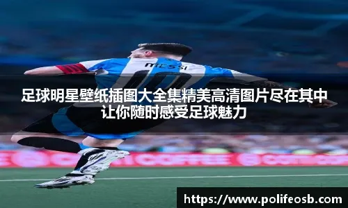 模式强调从